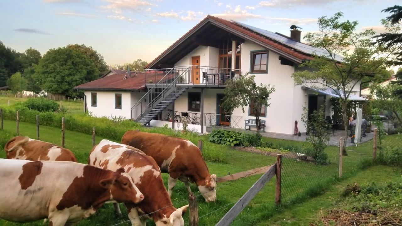 Exclusiv - Ferienwohnung Hinterreiter Ainring Eksteriør bilde